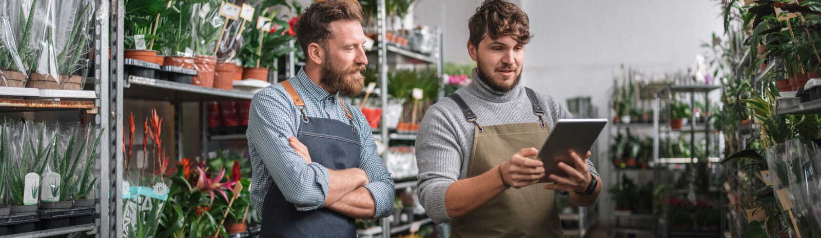 two men working in a plant nursery